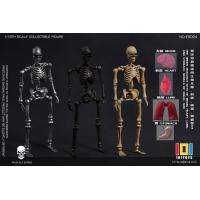 ��Ԥ����101TOYS ES021-024 1/18���� ���Ͼ���ϵ�� MINI���ùǼ����� 3��/��װ