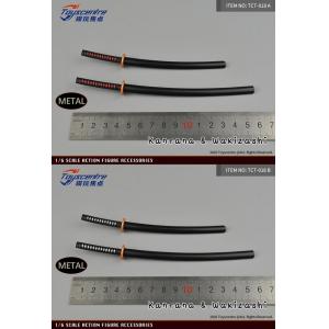 ������������Toyscentreģ�潹�� TCT-018 1/6���� ��ʿ��һ�� ������� 2��